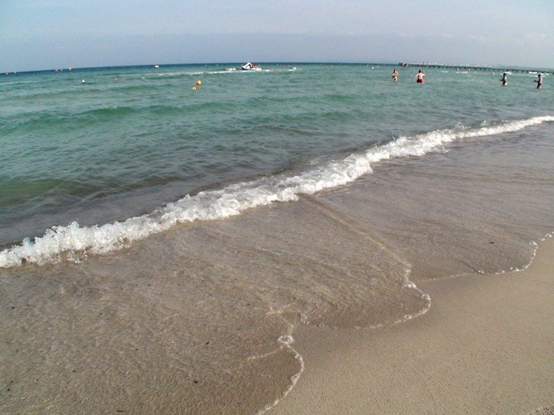 Eden Alcudia Appartement